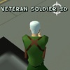 Veteran Soldier 3D