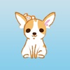 Chihuahua Playful - Stickers!