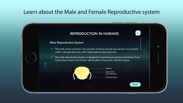 Reproduction in Humans(圖3)-速報App