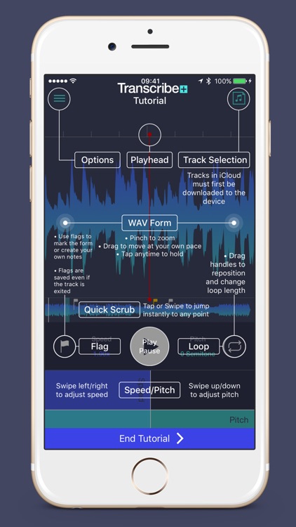 Transcribe+ Elegant Slow Downer and Time Strecher screenshot-4