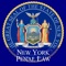 Icon NY Penal Law 2022 Guide