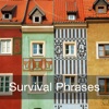 Polish Beginner Survival Phrases for iPad
