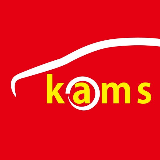 勝山石油店 Kamsドライブパス