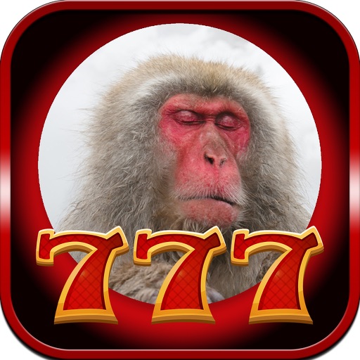 Monkey Slot : 777 Jackpot Casino iOS App