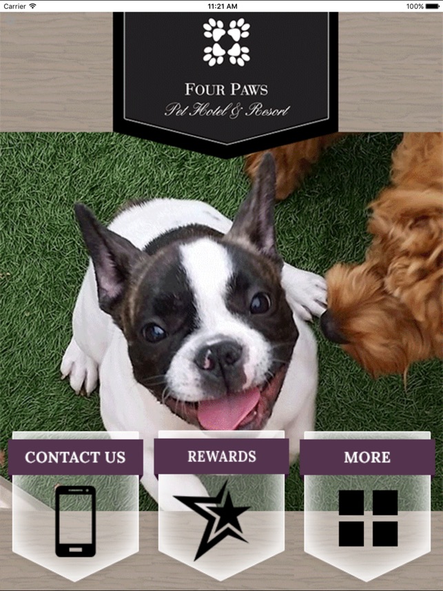 Four Paws Pet Hotel & Resort HD(圖2)-速報App