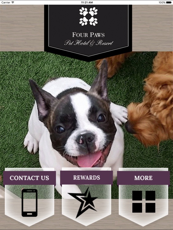 Four Paws Pet Hotel & Resort HD
