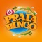 Icon Praia Bingo  - Bingo Games