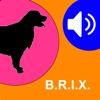 B.R.I.X.