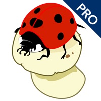 AboutNumbers PRO pour PC