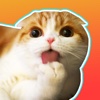 Waffles the Cat: Stickers