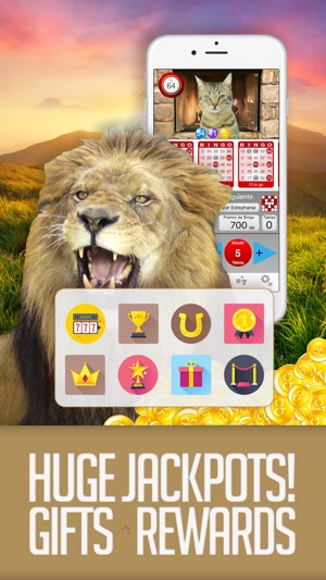 ANIMAL BINGO - Live Animal Bingo & Slots!(圖4)-速報App