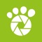 Download the beloved Tractive Photos app now and make your pet a star