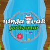 Cute Ninja Cat Falling Prisoner