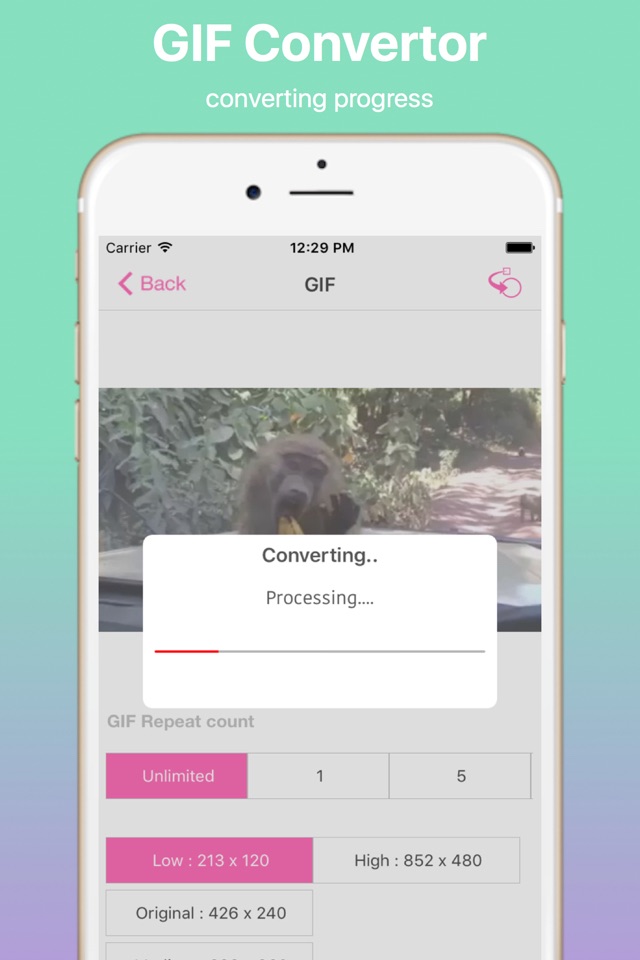 Video to GIF Convertor Pro screenshot 3