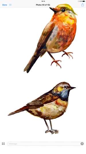 Birds! Watercolor Stickers(圖1)-速報App