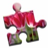 Blooming Flowers Puzzle