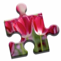 Blooming Flowers Puzzle apk