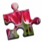Icon Blooming Flowers Puzzle