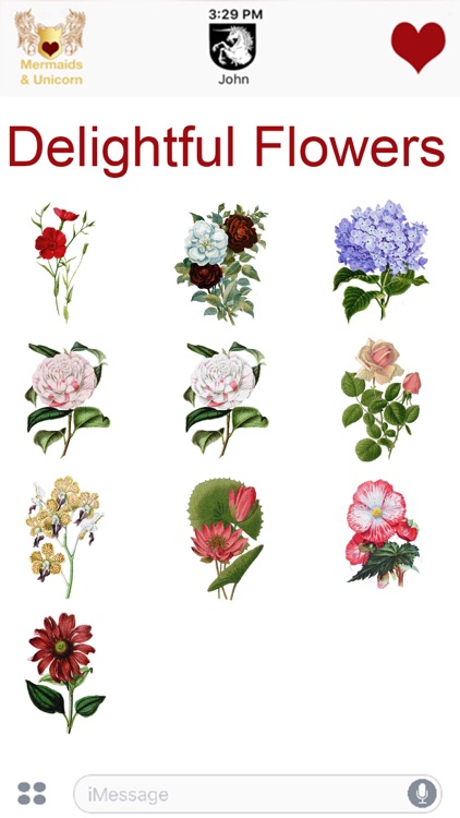 Delightful Flowers