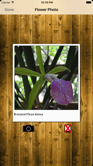 Orchid Notebook(圖5)-速報App