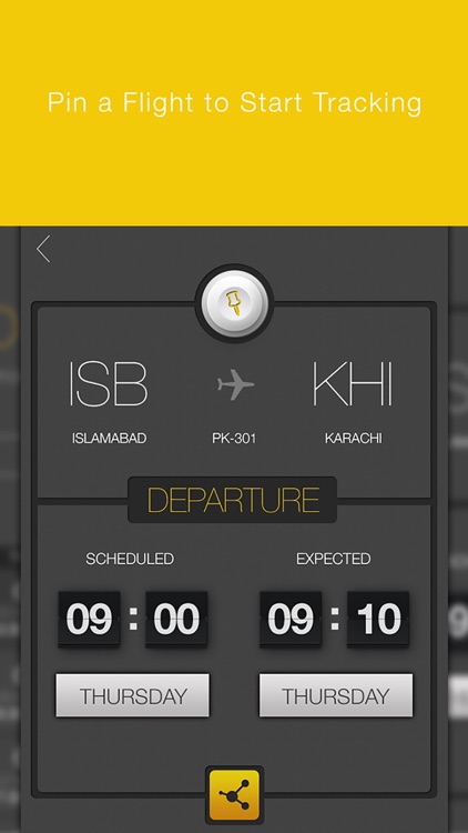 Pin Flight screenshot-3