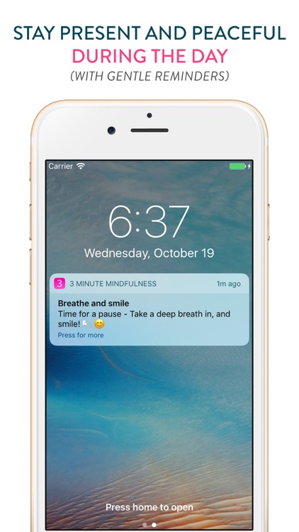 3 Minute Mindfulness: Meditation and Breathing screenshot-4