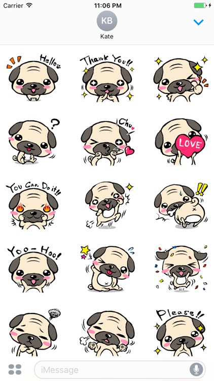 Pug is So Cute Puppy