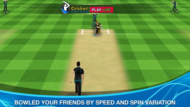 Cricket Multiplayer
