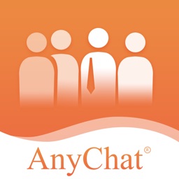 AnyChat智能排队