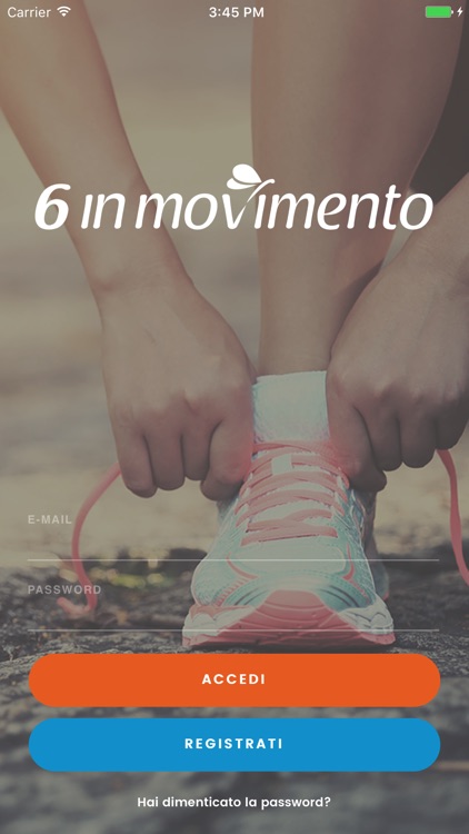 6inmovimento