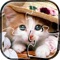 Cute Kitty Jigsaw Puzzle - Crazy Cat Game