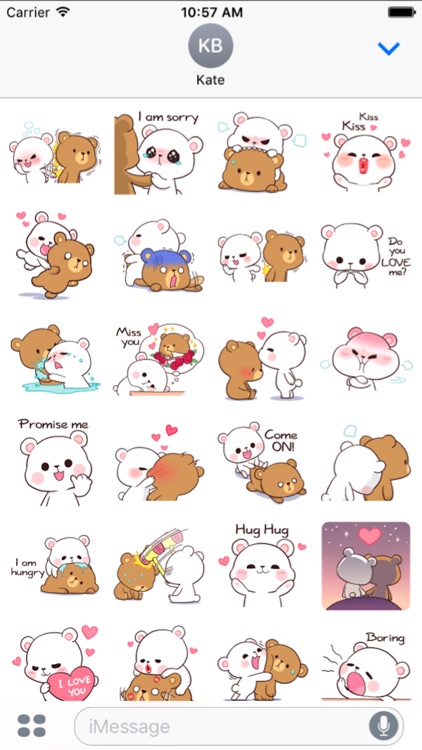 Milk and Chocolate Lovely Bear