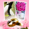 Hochzeit - Grußkarten für Hochzeit Verlobung & Co