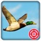 Duck Hunting Season: Wild Bird Shooting 3D