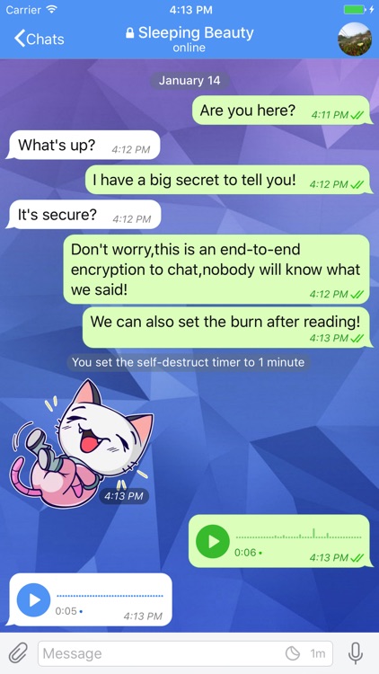Potato Chat
