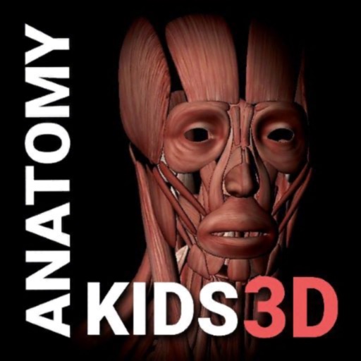 3D Human Anatomy Kids