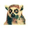Animals Collection Stickers for iMessage