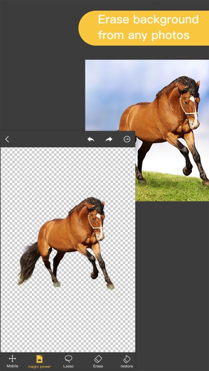 Pro KnockOut-Photo Editor+ Cut Out& Mix Background