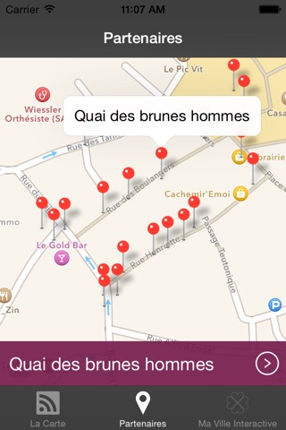 Carte Vitrines de Mulhouse screenshot 2