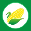 河南农副产品平台