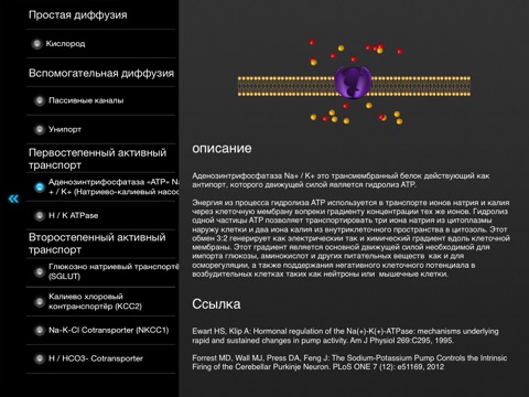 Craytonium Interactive Neurophysiology screenshot 3