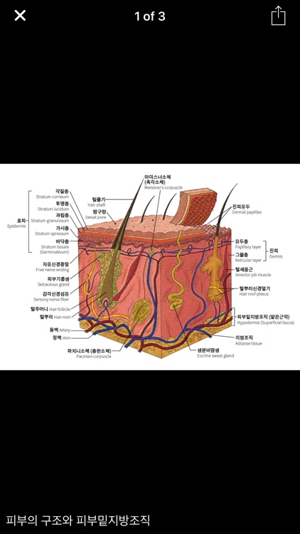 Basic Medical Science screenshot-4