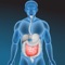Digestive System Quiz