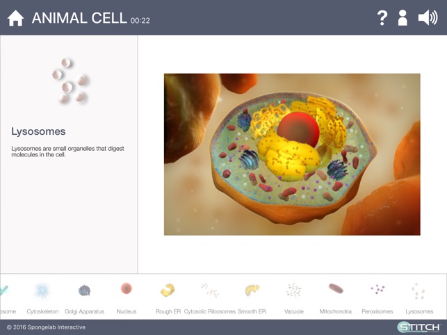 Build a Cell(圖1)-速報App