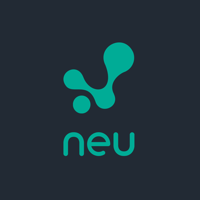 neu budget  transfer hemat