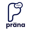 Prana Mini Pos