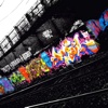 Graffiti Glossary-Study Guide and Terms