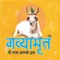 GAVYAMRIT are 5 elements (Cow Milk, Curd , Ghee (Cow Butter), Gaumutra (Cow Urine), Gobar (Cow Dung)) produces by Indian Deshi Cow (Gaumata)