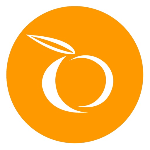 OrangeApps Academy