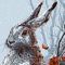 Icon Cute Rabbit HD Backgrounds & Wallpapers